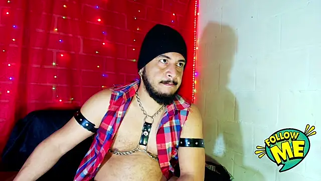 the master foal  online show from 17, 9, 2025