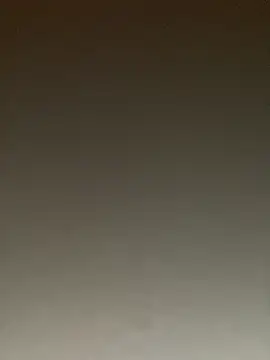 ToysRus24 online show from 22, 1, 2025