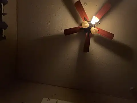 jck1m0t online show from 3, 3, 2026