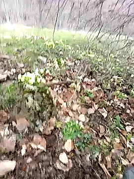 Snapshot of Yaramaz331 chatting on 31, 3, 2026 Yaramaz331 online show from 31, 3, 2026