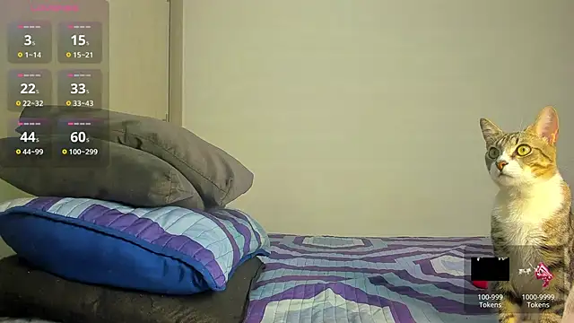 caroline tovar online show from 29, 11, 2025