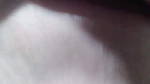 selenax2023 online show from 9, 10, 2025