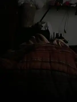 Snapshot of simonovic chatting on 24, 2, 2026 simonovic online show from 24, 2, 2026