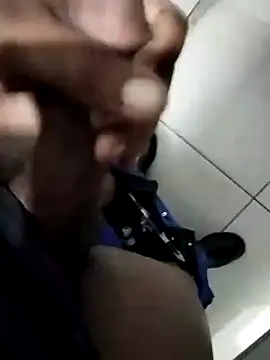 TitularAdaption online show from 9, 10, 2025