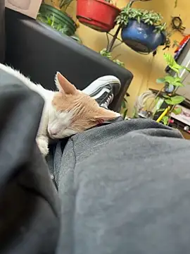 Snapshot of Lilmarieee chatting on 24, 2, 2025 Lilmarieee online show from 24, 2, 2025