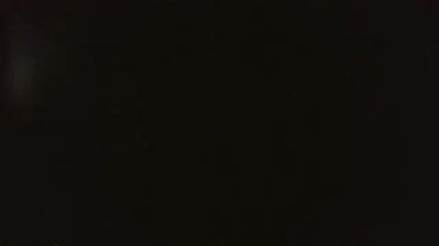 herbie010666 online show from 22, 2, 2025