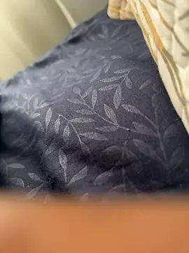 ROBOSTALLION online show from 4, 4, 2026