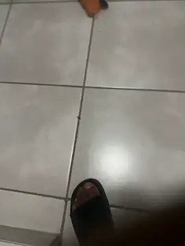 ROBOSTALLION online show from 7, 4, 2026