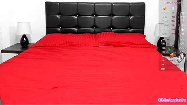 Snapshot of karinamadnessdesiree chatting on 11, 1, 2025 karinamadnessdesiree online show from 11, 1, 2025