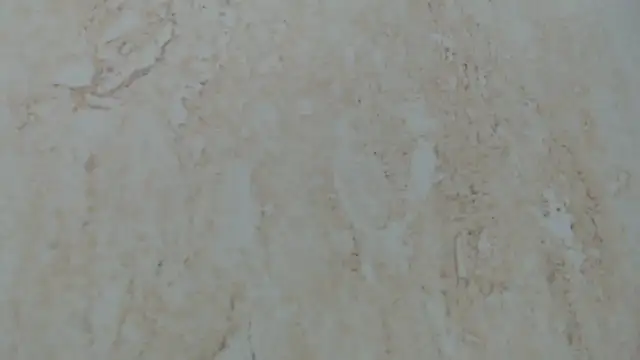 Crazy team  online show from 8, 1, 2025