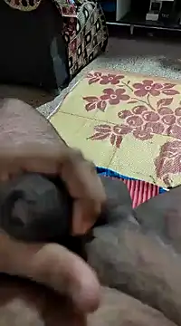 Snapshot of Swift2006 chatting on 11, 2, 2025 Swift2006 online show from 11, 2, 2025