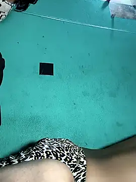 pariraj001 online show from 11, 2, 2026