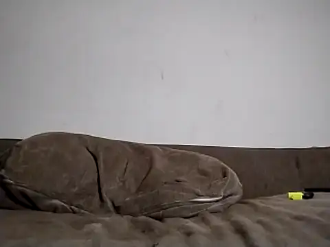 247Srokin online show from 15, 3, 2026