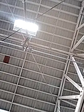 Daddy hook online show from 17, 12, 2024