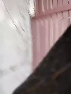 Daddy hook online show from 22, 12, 2024