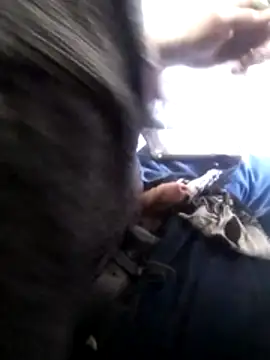 Snapshot of Wero4200 chatting on 4, 2, 2026 Wero4200 online show from 4, 2, 2026