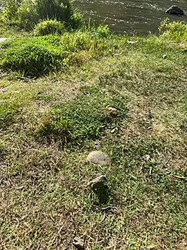 MAHKE12 online show from 27, 9, 2025