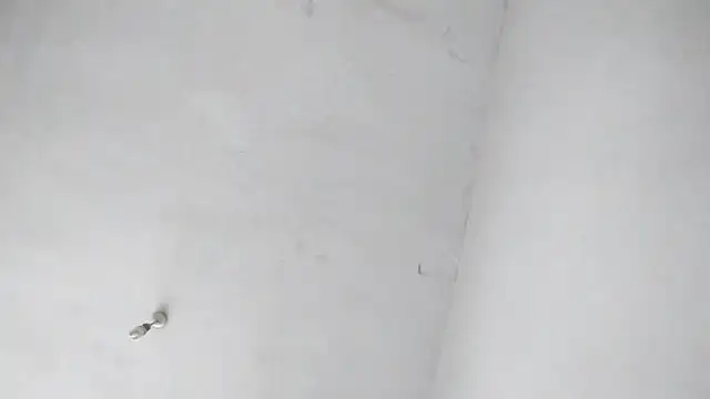 Jigolo mustafa online show from 29, 9, 2025