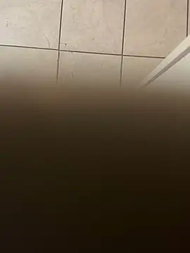 Snapshot of dingoding chatting on 10, 1, 2025 dingoding online show from 10, 1, 2025