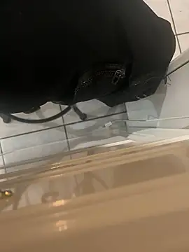 Snapshot of dingoding chatting on 24, 1, 2025 dingoding online show from 24, 1, 2025