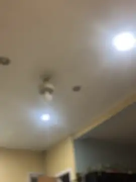 Snapshot of dingoding chatting on 7, 2, 2025 dingoding online show from 7, 2, 2025