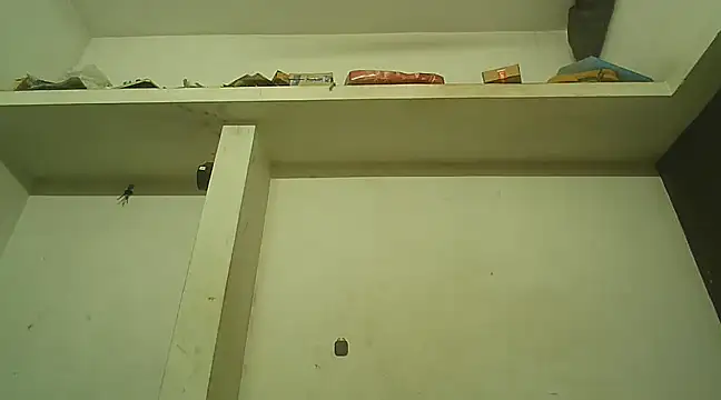 Snapshot of Akhilamolu_the_transsissy chatting on 8, 2, 2025 Akhilamolu the transsissy online show from 8, 2, 2025