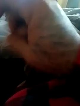 yellowwetfox online show from 22, 11, 2025