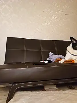 Marushka online show from 21, 12, 2024