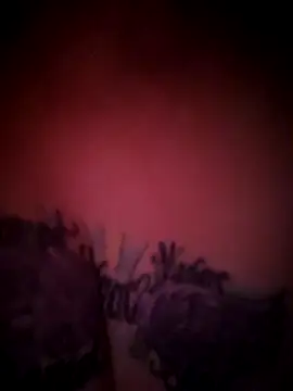 julimonroe online show from 18, 2, 2026