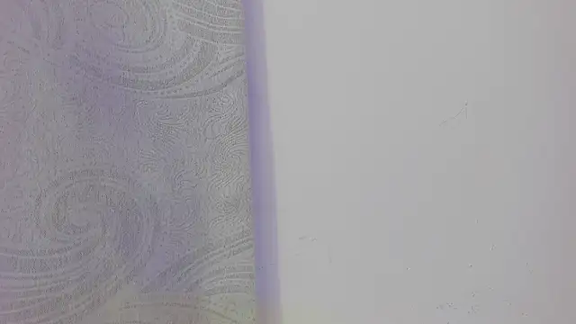 KendalStallyon online show from 26, 11, 2025