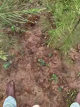 Gopal1243 online show from 9, 12, 2024