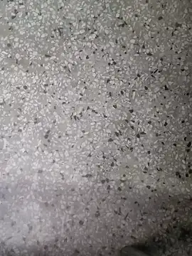 Rajibsorkar20 online show from 16, 1, 2025