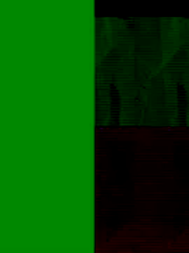 Snapshot of GeilerSchweizer chatting on 25, 11, 2025 GeilerSchweizer online show from 25, 11, 2025