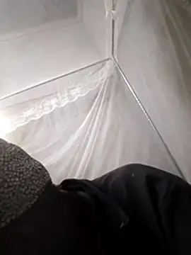 shape30 online show from 5, 3, 2026