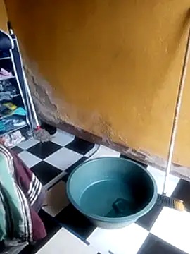 LULE37587001 online show from 22, 11, 2025