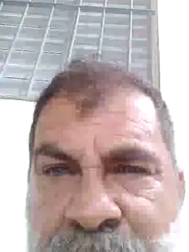 Snapshot of Peludo173317 chatting on 14, 10, 2025 Peludo173317 online show from 14, 10, 2025