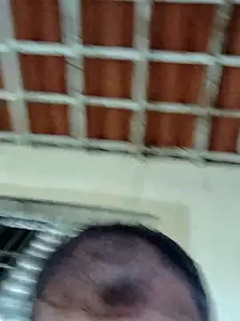 Peludo173317 online show from 13, 3, 2026