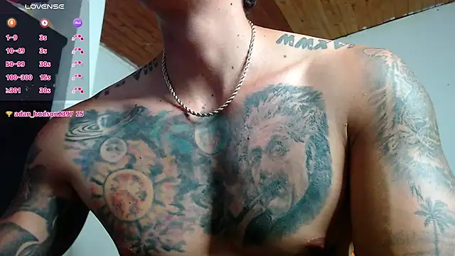 Snapshot of Adam_Hudsond chatting on 28, 2, 2025 Adam Hudsond online show from 28, 2, 2025