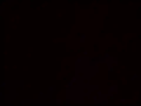 Vicusgdl online show from 29, 3, 2026