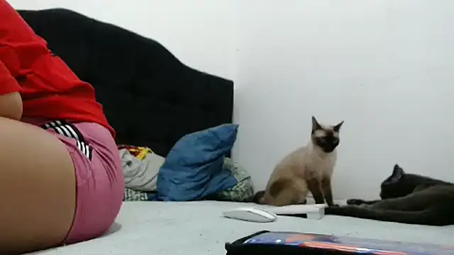 Snapshot of Emmily_Fox chatting on 2, 12, 2024 Emmily Fox online show from 2, 12, 2024