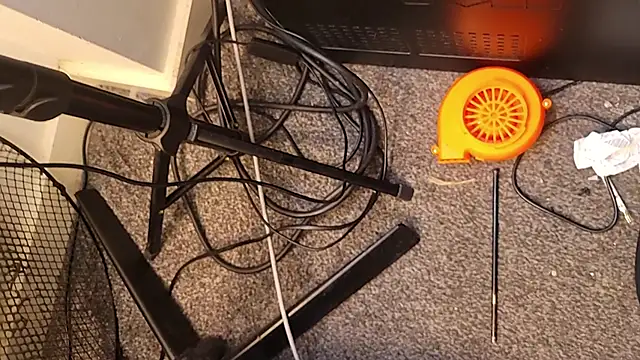 uk-bobbie-uk online show from 26, 11, 2025