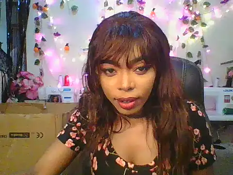 Anaconda2350 online show from 24, 11, 2025