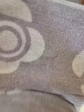 cuminpussyalot online show from 8, 3, 2026