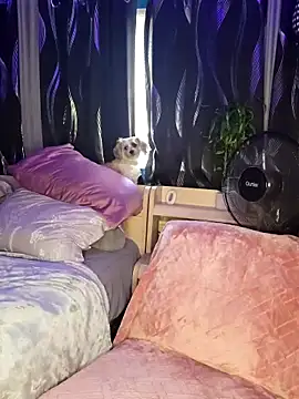 Snapshot of SexyNikki6969 chatting on 31, 3, 2026 SexyNikki6969 online show from 31, 3, 2026