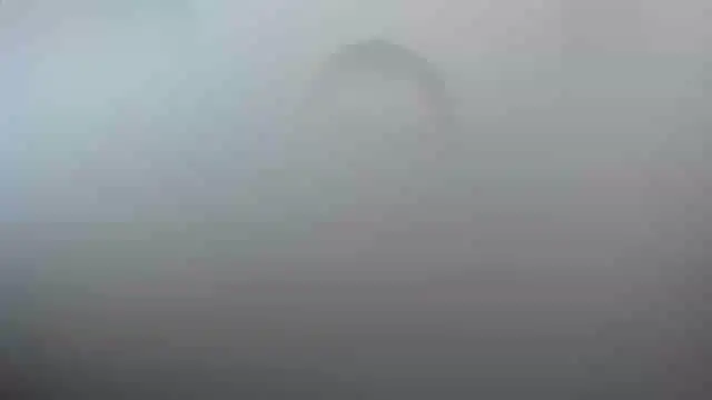 smile sweetpao online show from 23, 2, 2025