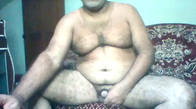 Probal online show from 17, 12, 2024