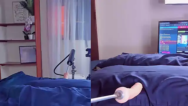 Little Siena online show from 13, 12, 2024