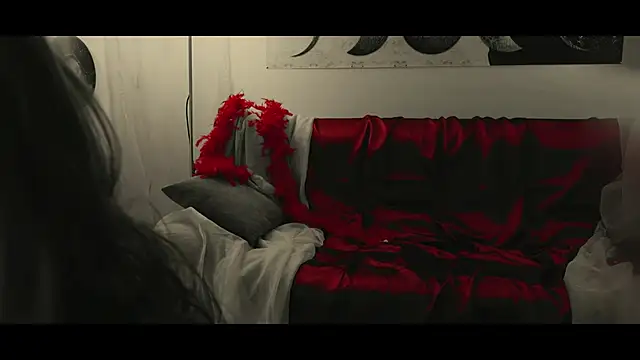 WebCora online show from 17, 1, 2025