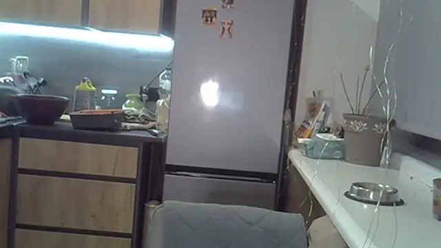 delightful sofi online show from 14, 11, 2025