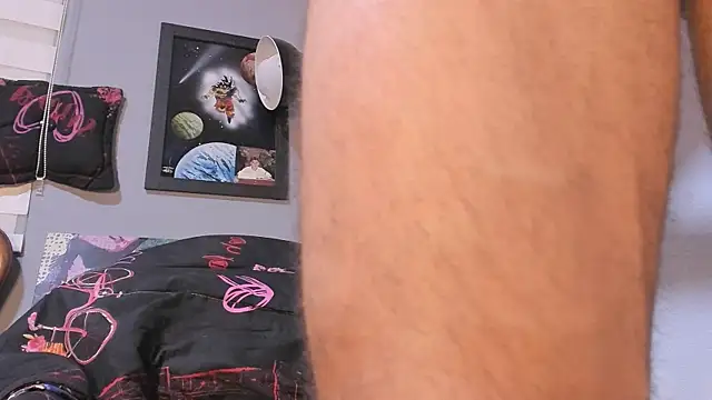 damn fox online show from 18, 12, 2024